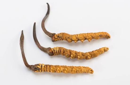 Bhutanese Handicrafts and Souvenirs: A Shopper’s Guide