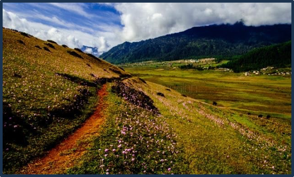Gangtey Nature trail